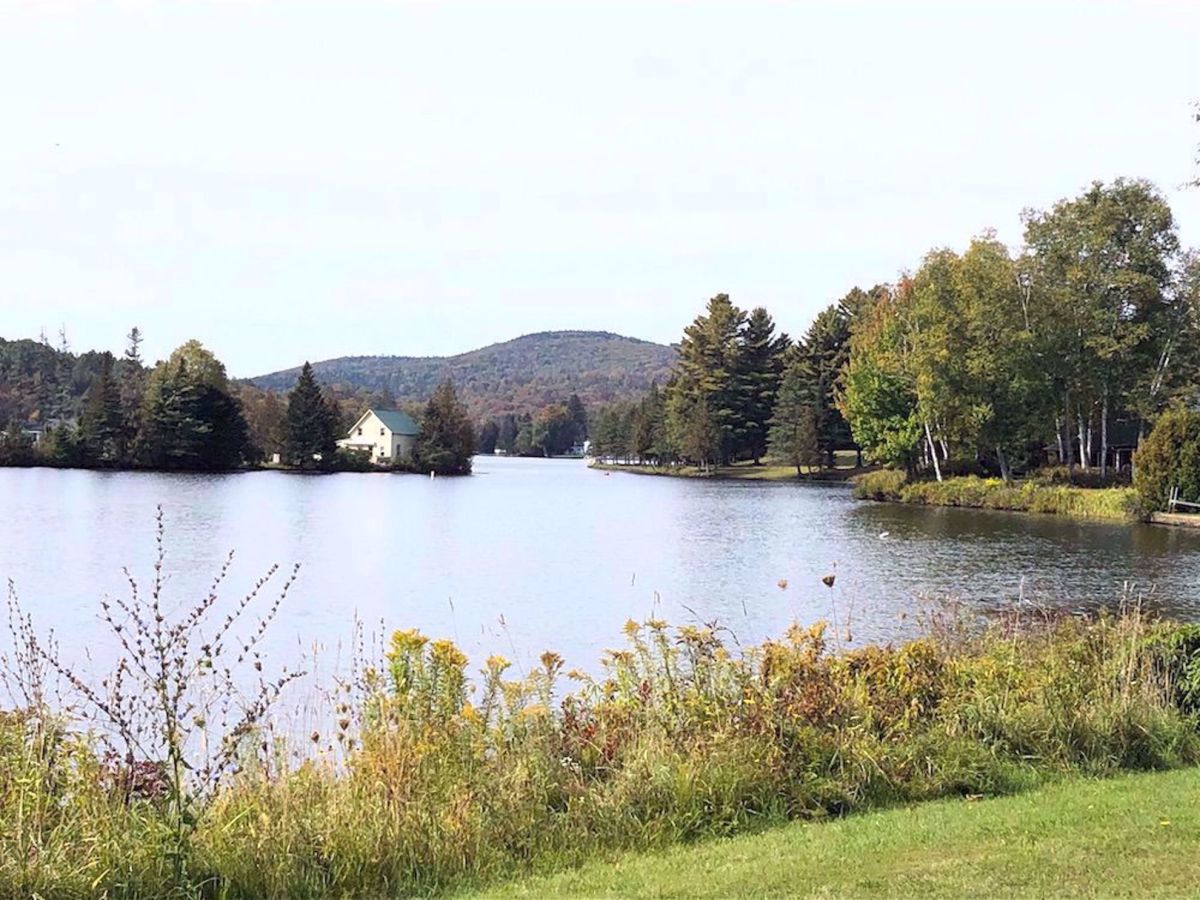 Lamoille Valley Rail Trail Bike Tour Pond Views Along trail