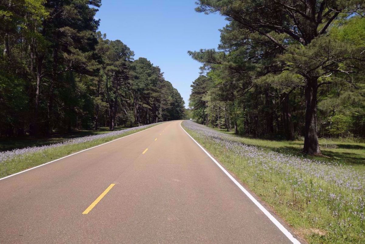 Natchez Trace Bike Tour Road