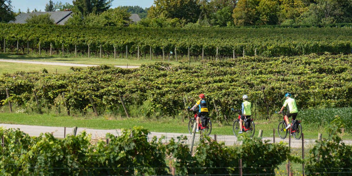 Jordan Wineries