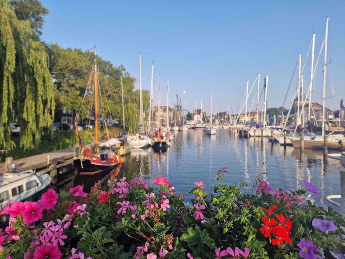 Netherlands Tulips, Windmills & Villages Bike Tour Canal filled with docked boats