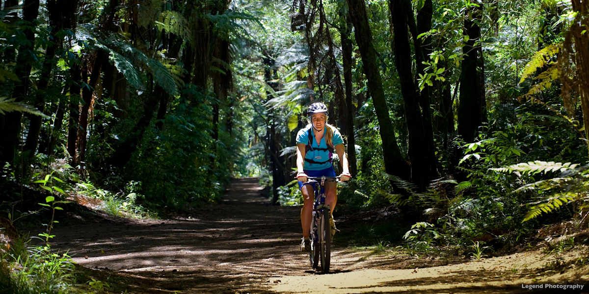 Bike West Coast Wilderness Trail