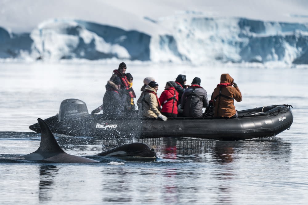 The Iceberg Marathon
