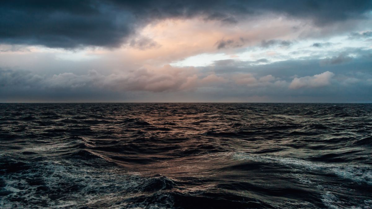 Into The Wild South: The Falklands, South Georgia & Antarctica onboard Terra Nova Adventurer