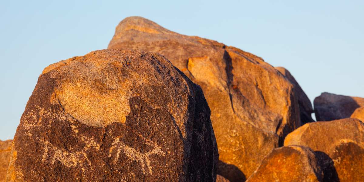 Saguaro National Park & Organ Pipe Cactus Adventure