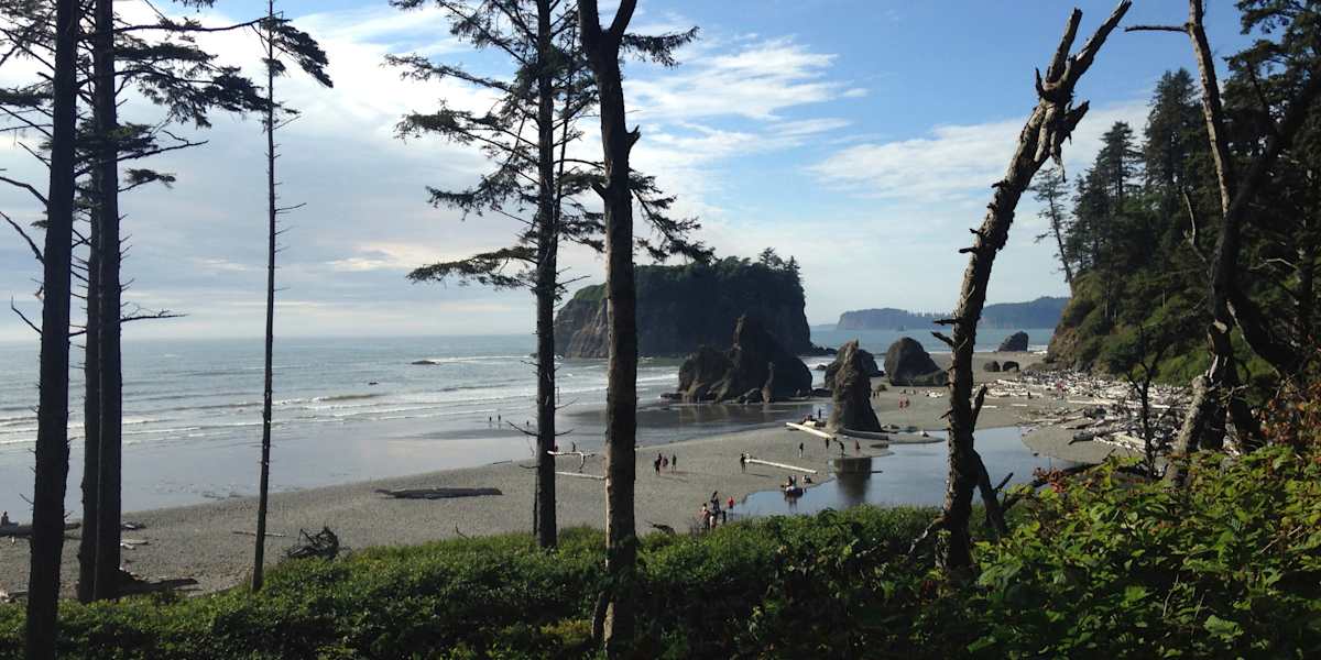 Olympic National Park Adventure