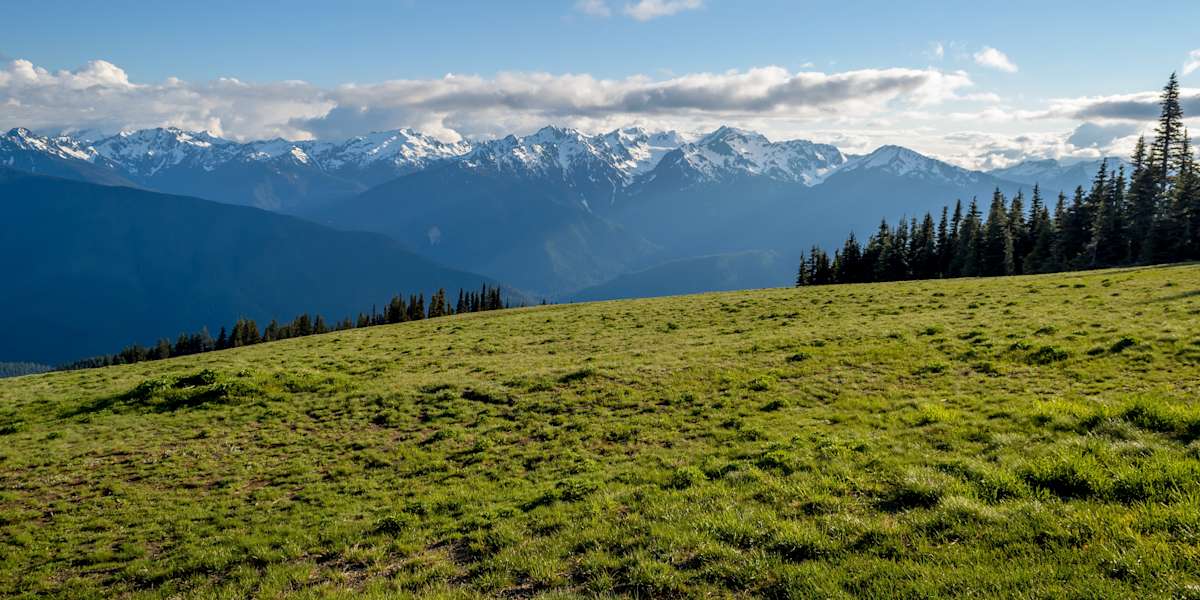 Olympic National Park Adventure