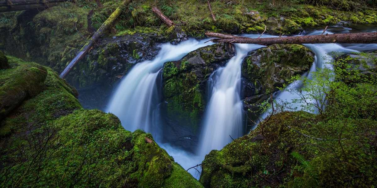 Olympic National Park Family Vacation