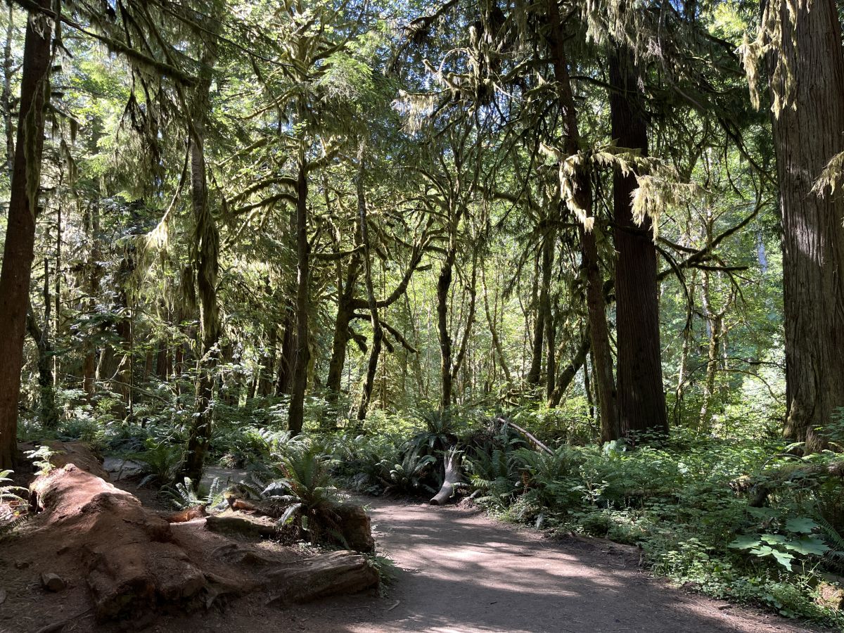 Olympic National Park Family Vacation