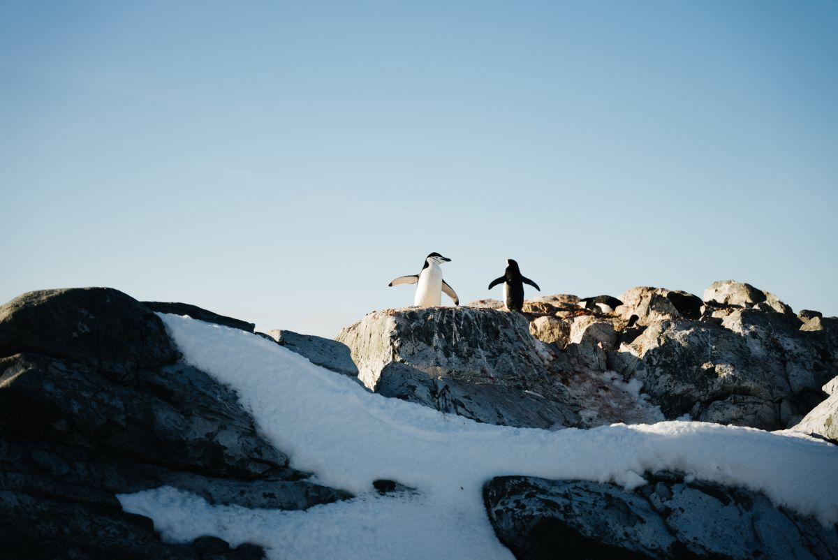 Polar Circle Quest - Onboard the St Helena
