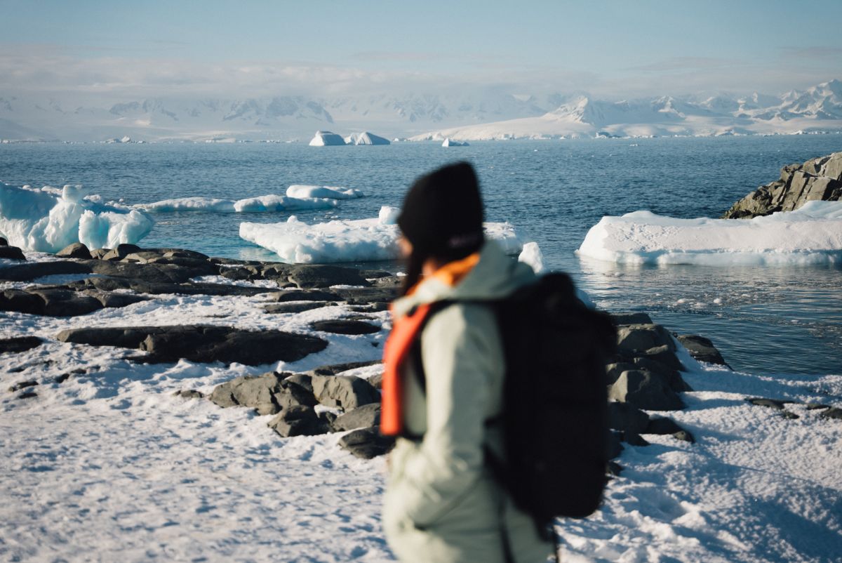Classic Antarctica onboard the St Helena