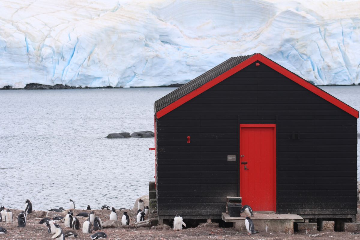 Echoes of the Deep - Whale Voyage aboard St Helena