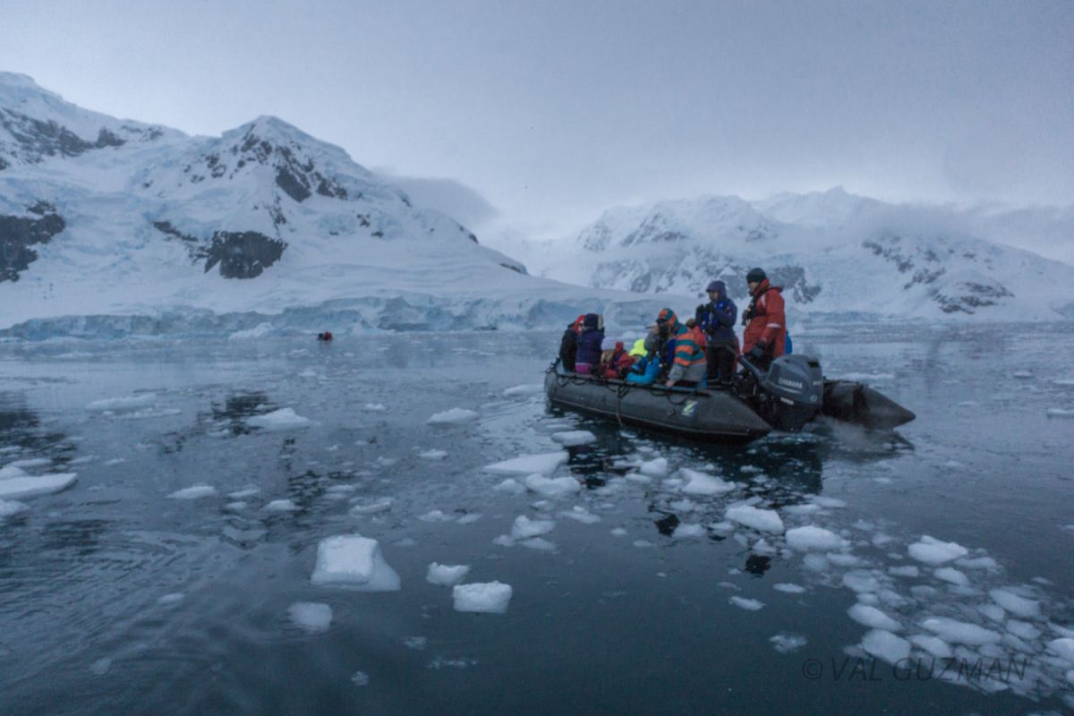 Echoes of the Deep - Whale Voyage aboard St Helena