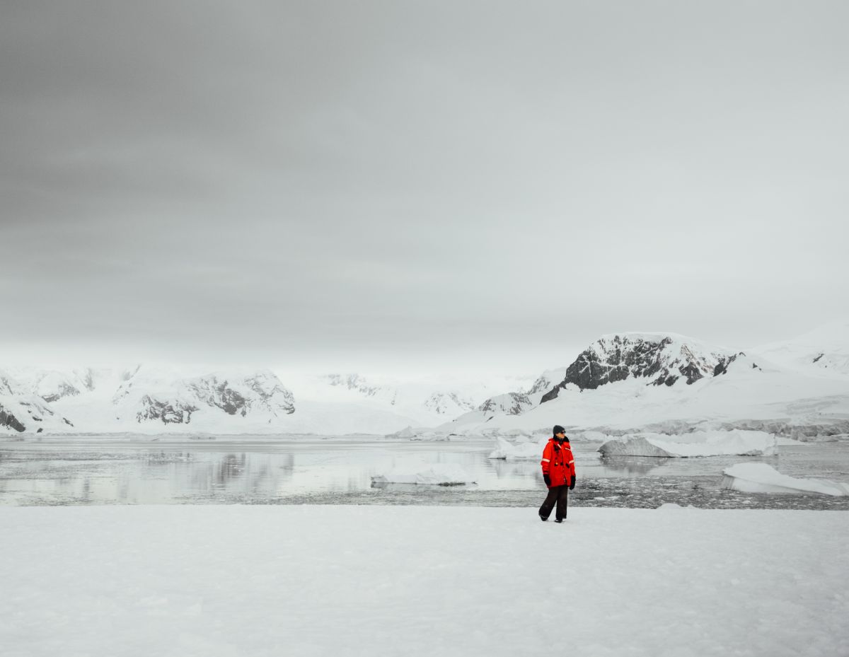Echoes of the Deep - Whale Voyage aboard St Helena