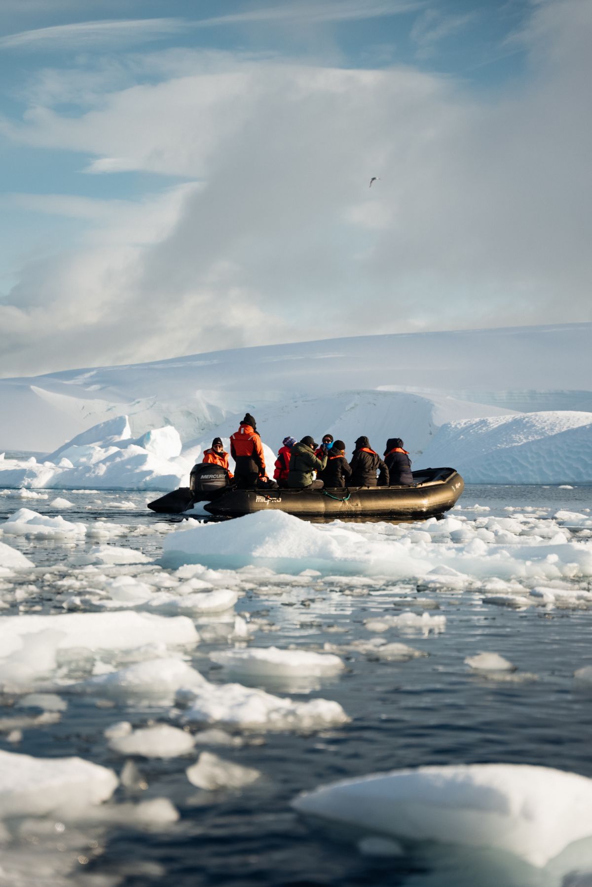 Echoes of the Deep - Whale Voyage aboard St Helena