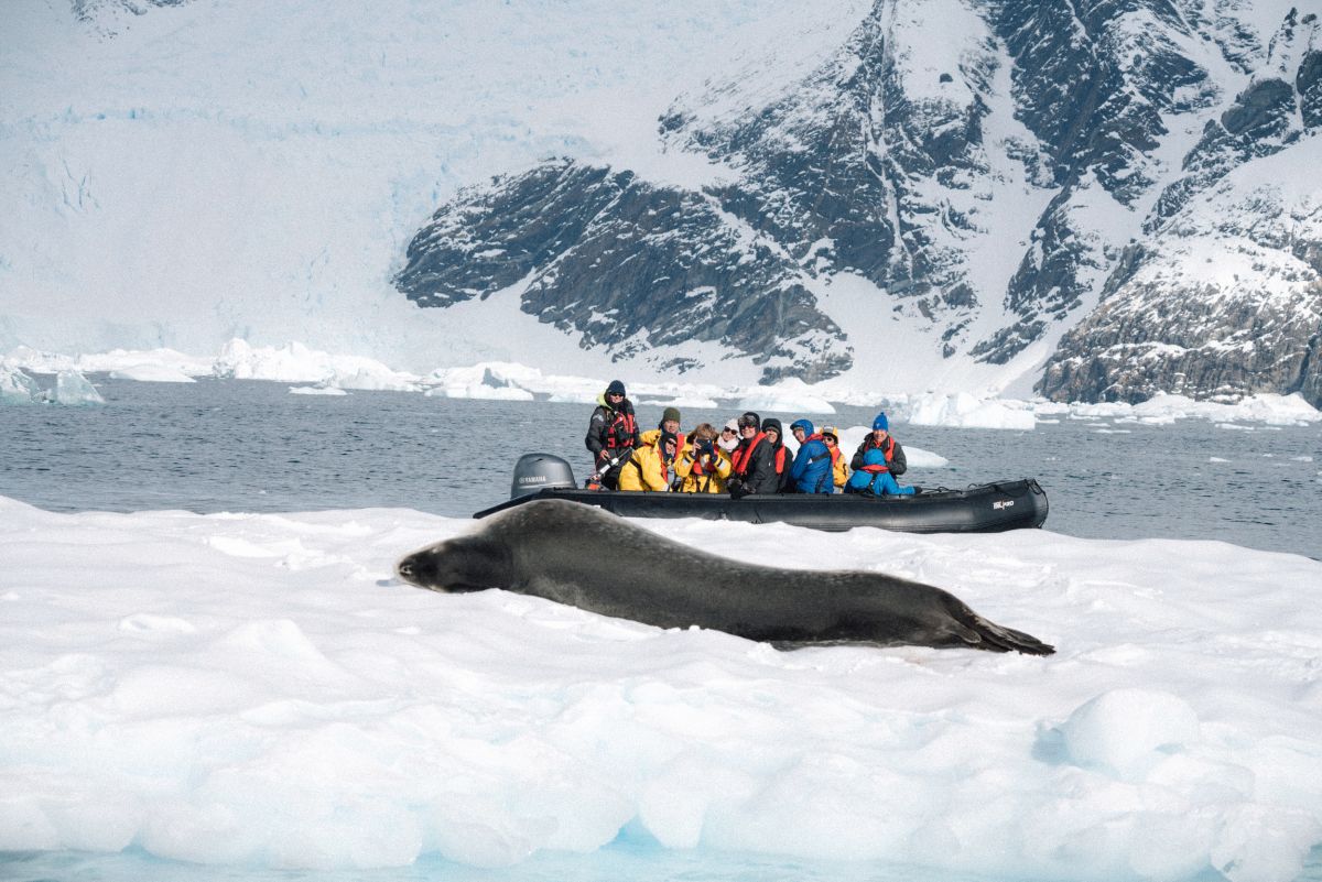Echoes of the Deep - Whale Voyage aboard St Helena