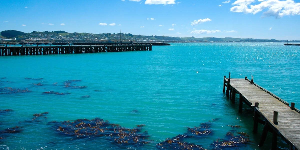 Alps to Ocean Bike tour Day 6 Oamaru Harbor