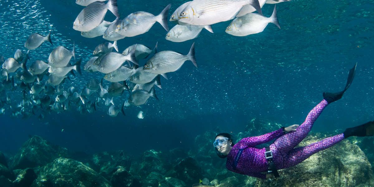 Sea of Cortez & Camp Cecil - Kayaking, Snorkeling and Paddleboarding