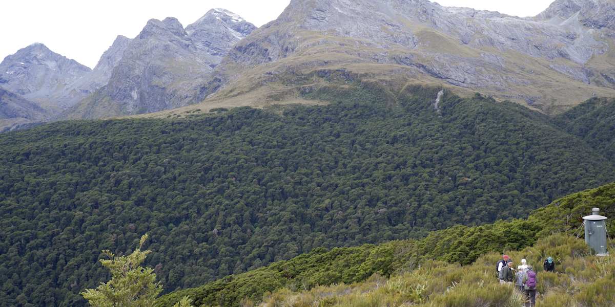 Hike Routeburn Track