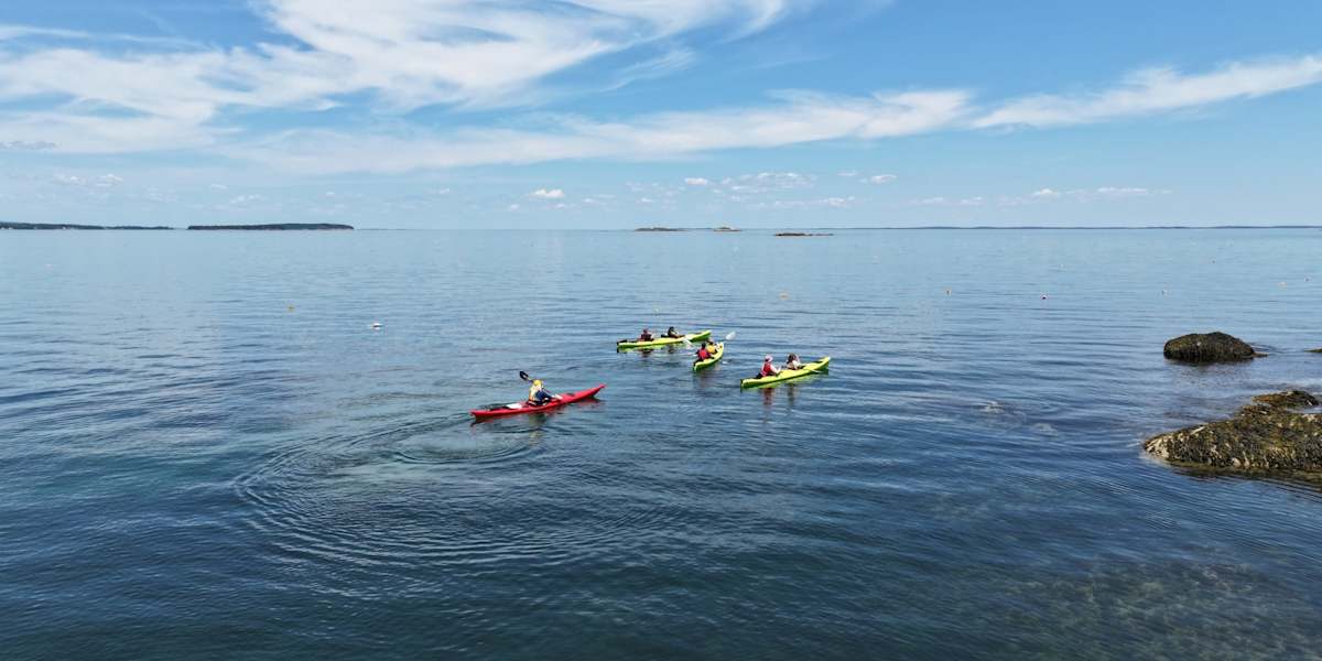 Kayak the Muscle Ridge archipelago, enjoy Camden