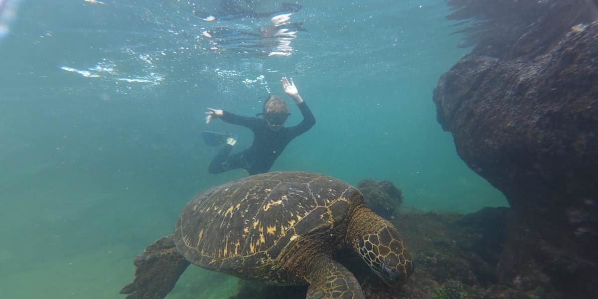 Snorkel at Los Tunnels, Free Afternoon