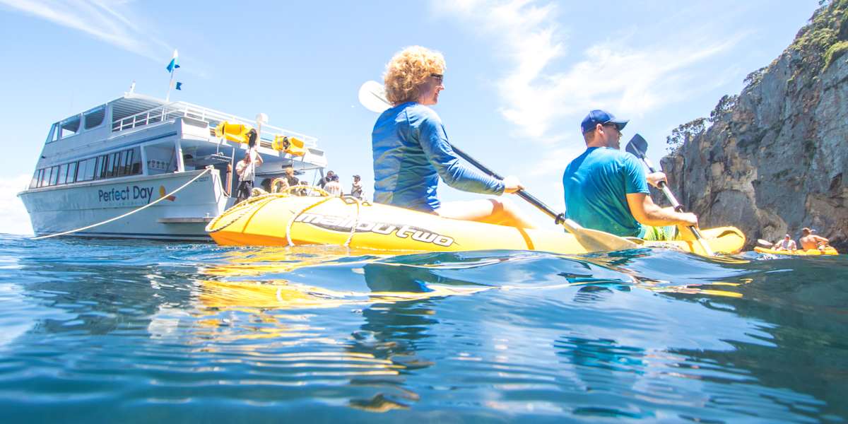 Cruise Poor Knights Islands, snorkel or kayak