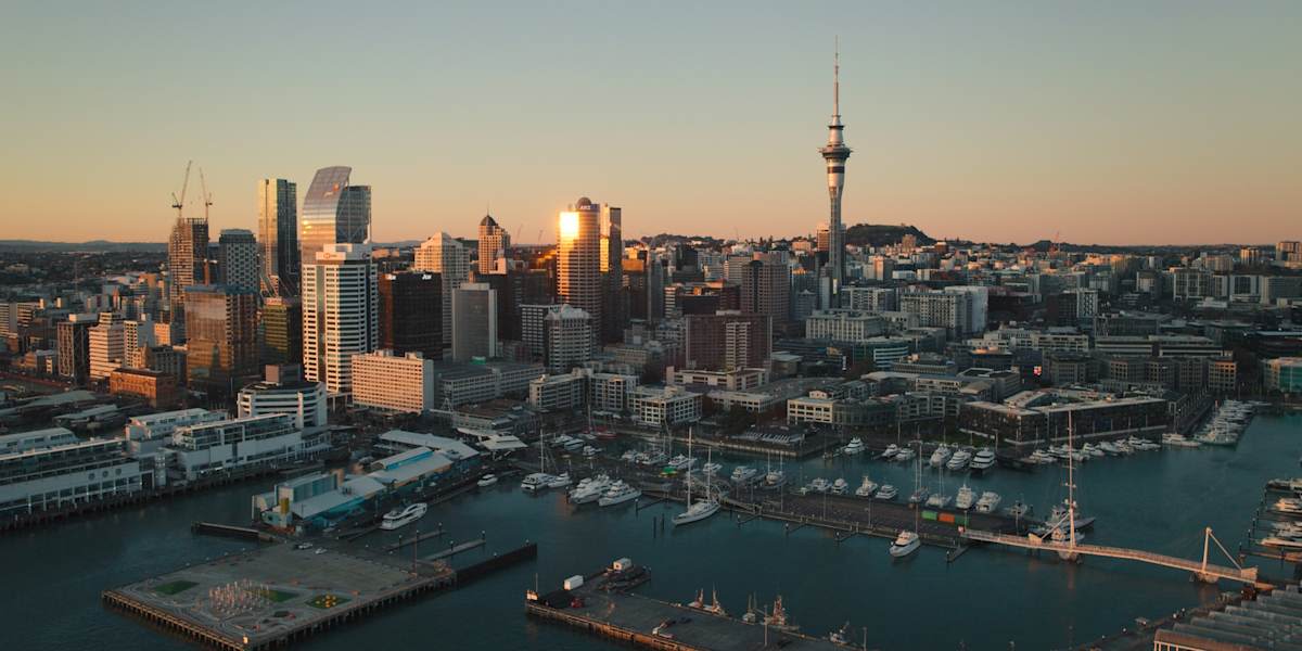 Free day in Auckland