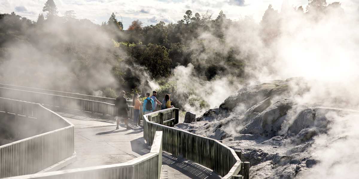 Hike to Putaruru Blue Springs, Visit Te Puia
