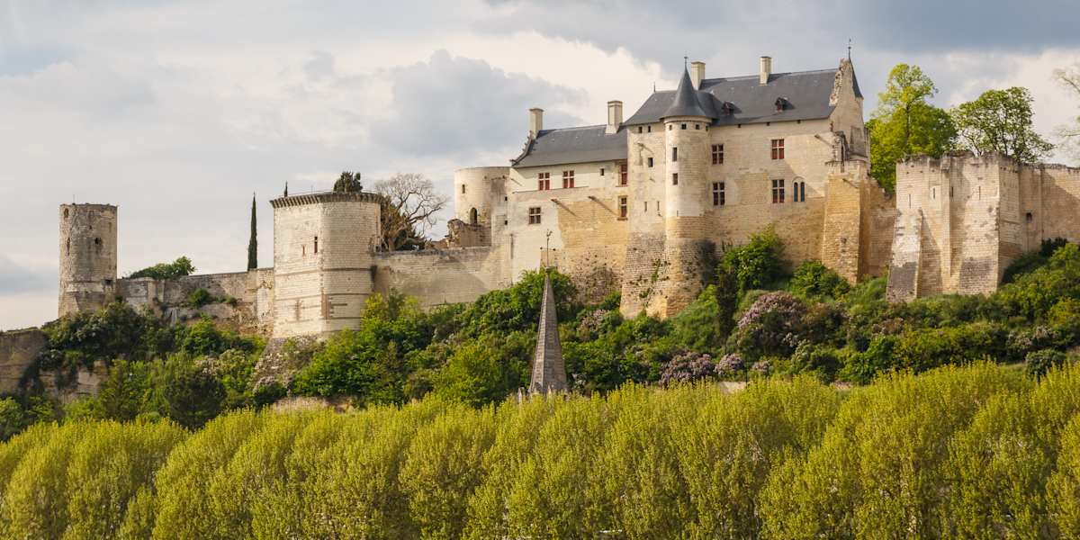 Vineyards, Chinon, & Château de Langeais