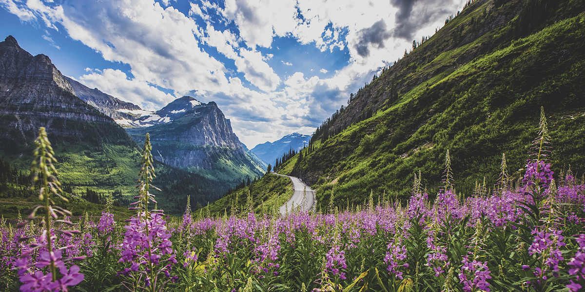 Bike Going-to-the-Sun Road & Logan Pass