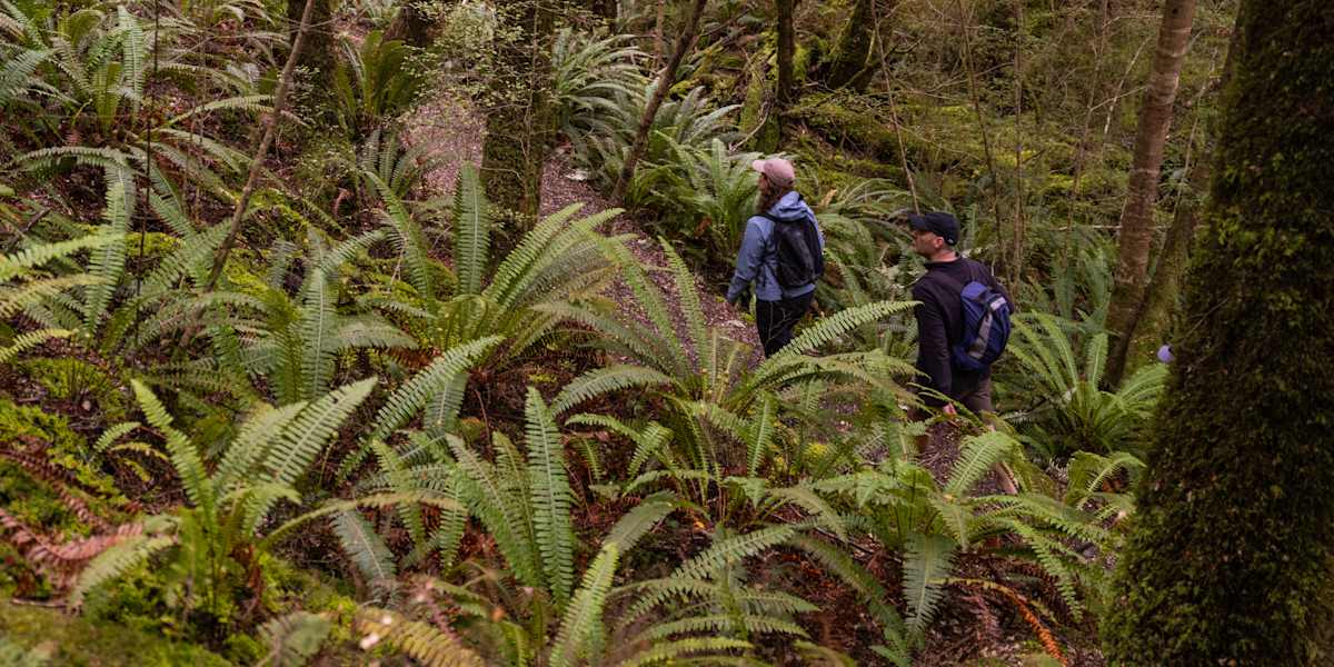 Hike the Kepler Track