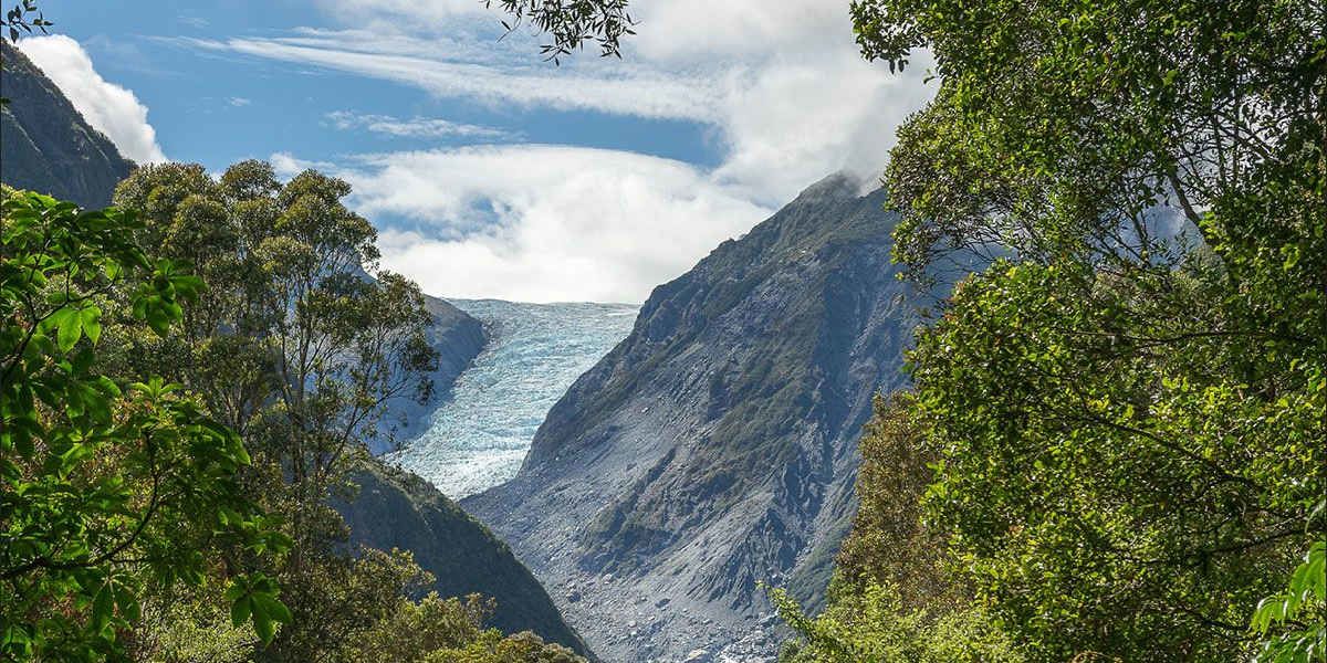 Walk in Franz Josef glacier country