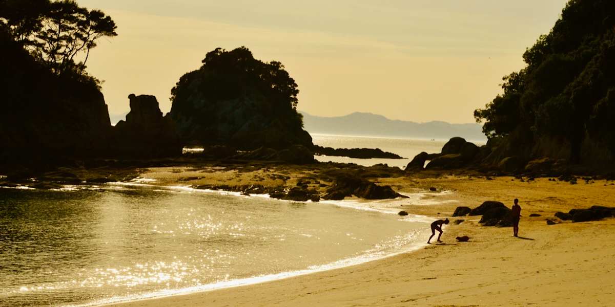 Walk the Abel Tasman Coast Track