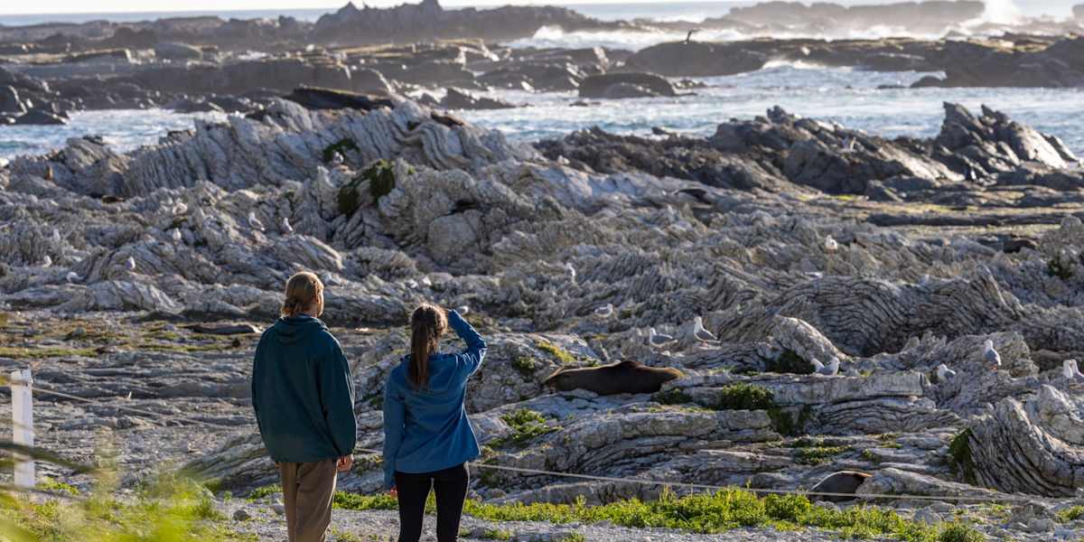 Follow the coast to Gore Bay and Kaikoura
