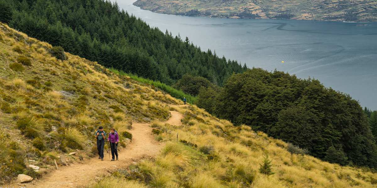 Ultimate Fiordland and Queenstown Adventure 2728