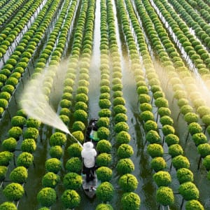 Vietnam für Geniesser ab Hanoi: A farmer watering his flowers in the Mekong Delta