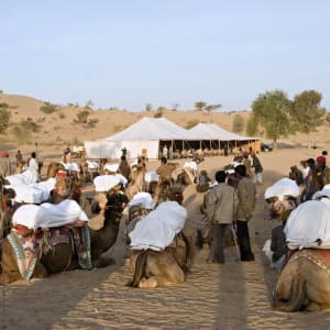 Palastromantik und Wüstenzauber ab Jodhpur: activities: 