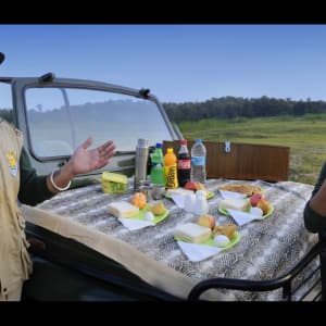 Pench Jungle Camp: activities: 