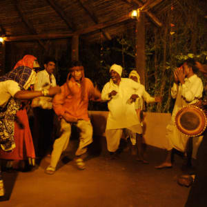 Tiger's Den Resort à Bandhavgarh: activities: 