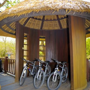The Menjangan in Nordbali:  Bicycle