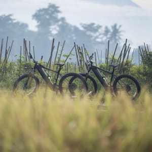 Amanjiwo in Yogyakarta:  bike ride