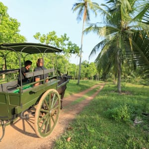 Horathapola Coconut Estate à Yakvila:  bullock cart ride