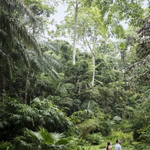 The Datai Langkawi:  Butterfly Garden