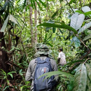 Im Wilden Westen Kambodschas ab Siem Reap: activities: Cardamom Tented Camp | Jungle Tour