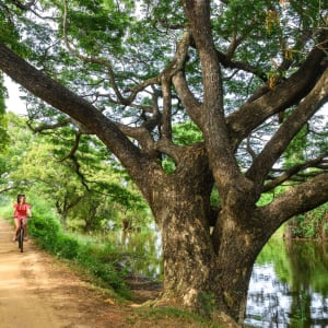 Uga Ulagalla à Anuradhapura:  Cycling