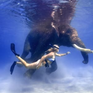 Barefoot at Havelock à Îles Andaman:  Dive With Rajan