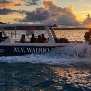 Tilar Siro Andamans in Andamanen:  Diving