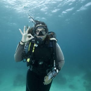 Tilar Siro Andamans in Andamanen:  Diving