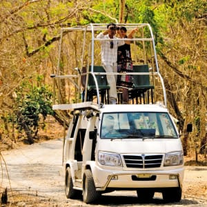 The Menjangan in Nordbali:  Double Decker Resort Car