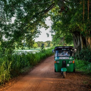 Uga Ulagalla à Anuradhapura:  Excursion by Tuktuk