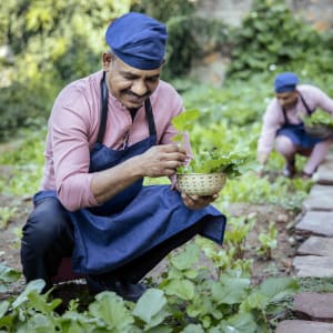 Six Senses Fort Barwara à Jaipur:  Herb Garden Visit with Chef
